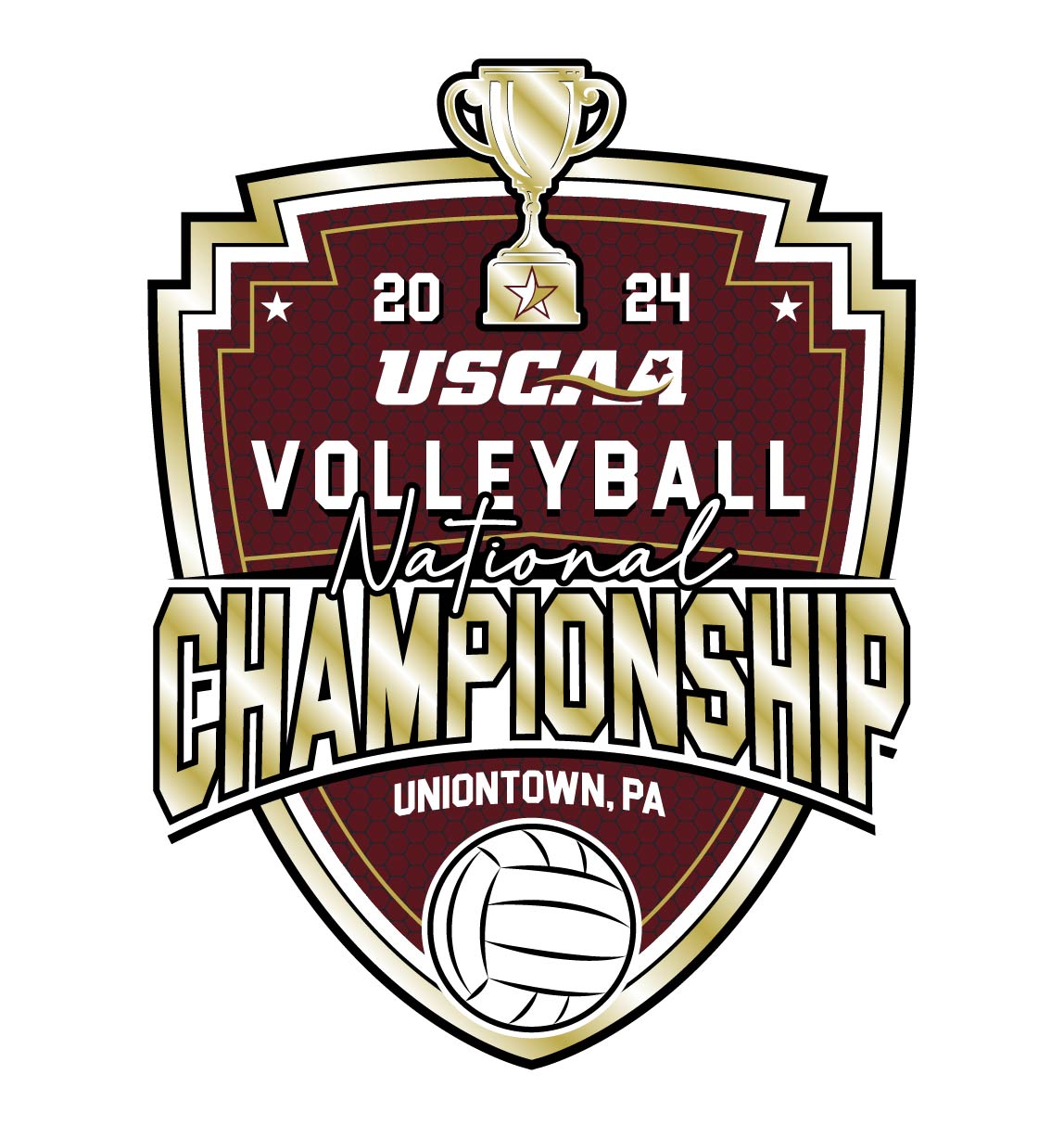 Volleyball championships